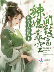 休渣夫,嫁战王,辣媳靠空间致富